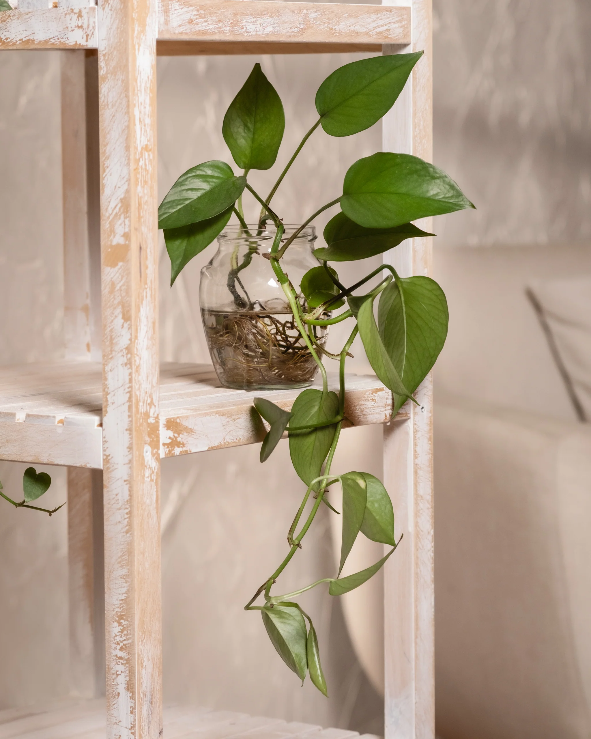 DSF1897.jpg DSF1897.jpg